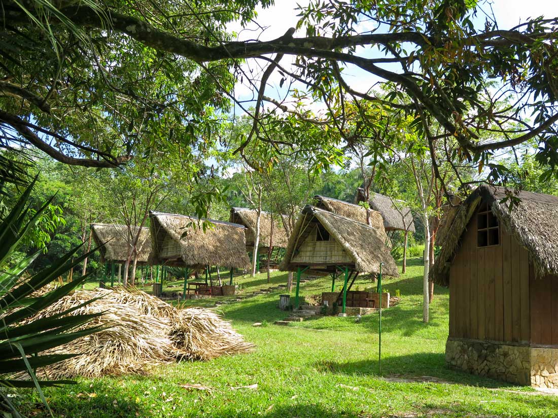 small huts with thatched roof on a sloping ground with grass