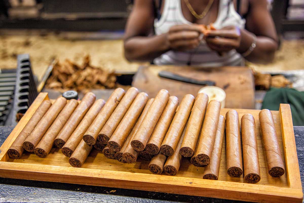black man rolling cuban cigars on wood tray