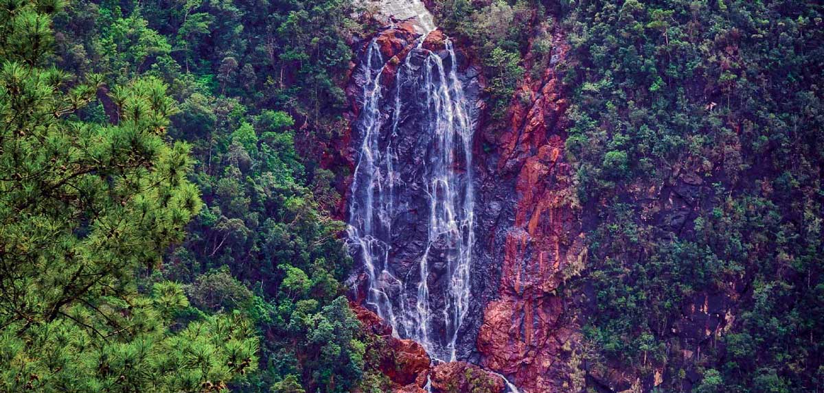 waterfall cascading down mountain side with pine trees